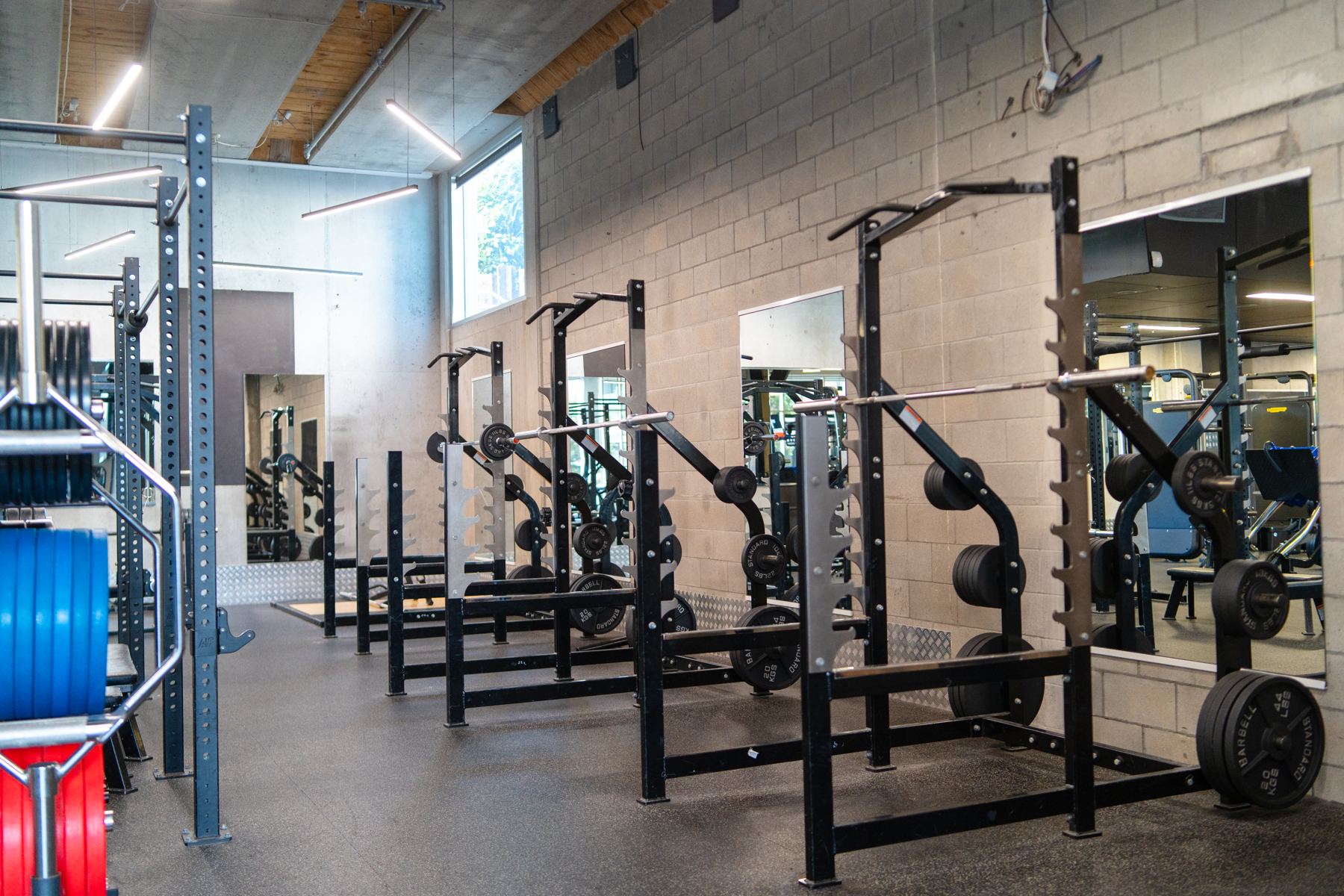 M2 Training Club rig and free weights area, Grafton Auckland