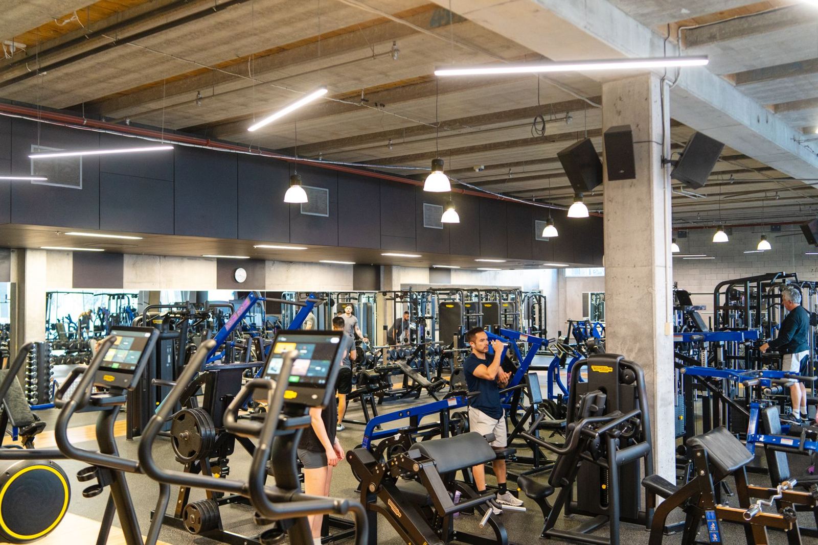 The gym floor at M2 Training Club in Grafton, near the Auckland CBD